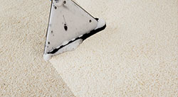 carpet cleaning stafford tx